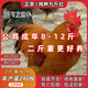 二斤重純種九斤紅大公雞活苗半大脫溫紅玉雞苗散養土雞苗肉雞苗 4-5兩重九斤紅 10只【5公5母】
