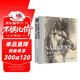 經(jīng)典全集精裝版《素描巨匠薩金特》精選大師素描人物肖像頭像人體風(fēng)景動(dòng)物書(shū)籍速寫(xiě)臨摹畫(huà)冊楊建飛主編