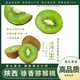 閩農語(yǔ)果徐香獼猴桃國產(chǎn)綠心奇異果水果生鮮水果陜西獼猴桃 【15枚裝 活動(dòng)款 | 單果40g+】 可團購，聯(lián)系客服
