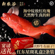 軒農谷東星斑禮盒節日送禮生鮮魚(yú)類(lèi)鮮活冷凍野生紅石斑魚(yú)高端海鮮大禮包 【6-8兩/條】2條禮盒裝