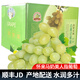 迭果馬奶葡萄河北張家口宣化懷來(lái)白馬奶提子沙城夾河牛奶葡萄新鮮水果 白馬奶 4斤帶箱