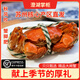 【活蟹】澄湖掌柜大閘蟹 鮮活螃蟹蘇州精品大閘蟹 水產(chǎn)生鮮禮盒 公4.5-4.8母3.5-3.8兩 4對8只 蘇州精品大閘蟹