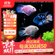 百綸木千迷你鸚鵡魚(yú)觀(guān)賞魚(yú)可配對繁殖淡水魚(yú)觀(guān)賞小型魚(yú)金魚(yú)觀(guān)賞魚(yú)熱帶魚(yú) 2-3厘米迷你鸚鵡魚(yú) 隨機5條