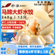 船歌魚(yú)水餃 馬蹄大蝦水餃240g12只 健康早餐夜宵 海鮮手工速凍餃子 生鮮速食