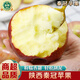 南步陜西粉紅秦冠蘋(píng)果 老品種粉面紅香蕉寶寶輔食刮泥萍平果老樹(shù)水果 5斤 精選中果【單果70-75mm】