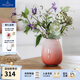 德國唯寶（Villeroy&Boch）【新品】珠光貝影珊瑚粉花瓶家居客廳裝飾擺件新婚禮 大花瓶 1.78L