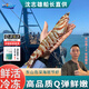 沈志雄東山島活凍深海大蝦斑節蝦竹節蝦九節蝦對蝦基圍蝦年貨年夜飯送禮 5-6條/盒/共2盒大個(gè)頭凈重800克