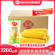 佳農 東北水果玉米甜玉米棒10袋*220g 真空包裝 開(kāi)袋即食  源頭直發(fā)