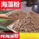 北京同仁堂海藻粉海藻面膜天然補水收縮毛孔保濕中藥材海藻面粉粉美容院 純海藻粉 1000克(兩斤)