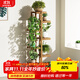 安爾雅 松木花架子花盆碳化室內(nèi)外客廳陽臺(tái)多肉植物簡(jiǎn)約置物架花擺架8層