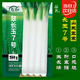 壽禾 大蔥種子苗山東四季蔬菜種籽 長(cháng)白大蔥翠長(cháng)玉7號種子15g約4000粒