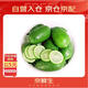 京鮮生 海南香水檸檬 1斤裝 單果70g-90g 生鮮水果