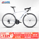 喜德盛公路自行車(chē)25款Rc200成人車(chē)14速變速車(chē) 白灰700C*480MM
