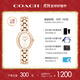 蔻馳（COACH）SAMMY系列 鋼帶石英女表 14504418 禮物/送禮