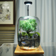 苔蘚微景觀(guān)生態(tài)瓶趣味造景綠植創(chuàng  )意禮物盆栽魚(yú)缸好養活桌面臥室 小貓釣魚(yú)（霧凇款）+木質(zhì)燈座 16*16*22（圓）