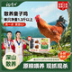 楊博士【童子雞】安徽皖南散養(yǎng)土雞小公雞新鮮雞肉1只凈重1.3斤源頭直發(fā) 1只童子雞丨贈雞血