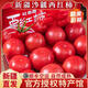 【順豐】新疆沙瓤西紅柿 吐魯番普羅旺斯生吃番茄 新鮮蔬菜 5斤 中果【家庭裝】 5斤