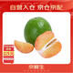 京鮮生 翡翠青柚 紅心柚 1粒裝 單果1.5斤起 生鮮柚子水果
