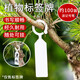 植物標簽牌環(huán)扣加厚塑料園藝綠植花卉葡萄記號牌瓜果品種標記掛牌 【白色標簽牌100張】+筆*1