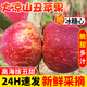 吉果叔 大涼山丑蘋(píng)果 當季時(shí)令新鮮水果四川脆甜冰糖心紅富士整箱 生鮮 【嘗鮮裝】?jì)糁?斤 中果（單果70-75mm）