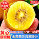 京地達四川蒲江黃心獼猴桃奇異果中秋送禮凈重5斤單果130g+源頭直發(fā)包郵