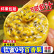 正宗廣西黃金百香果黃金欽蜜9號百香果新鮮當(dāng)季水果5斤包郵大果3 20顆【精品大果】 只虧兩天