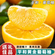 式果禮福建平和黃金葡萄柚 爆汁黃金柚子蜜柚榨汁橙西柚子酸甜新鮮水果 9斤 優(yōu)選花皮果【單果200g+】