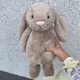 Jellycatjellycat米色邦尼兔白色邦尼兔毛絨玩具專(zhuān)柜正品送女生禮物現貨 米色 31cm