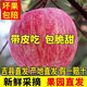 山西吉縣壺口瀑布蘋(píng)果條紅富士脆甜多汁應季時(shí)令孕婦水果10斤包郵 10斤（75-80mm）凈重8.5-8.8斤 吉縣直發(fā)