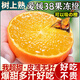 粵迎四川愛(ài)媛38號果凍橙柑橘手剝橙新鮮橙子水果應季時(shí)令桔橘子香甜多 5斤優(yōu)選裝【香甜爆汁】?jì)?.5斤