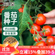 花沃里盆栽小番茄種子約100粒 蔬菜種子大全小西紅柿陽(yáng)臺盆栽/庭院種植