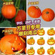 萬(wàn)圣節雕刻南瓜幼兒園diy手工南瓜燈新鮮真紅皮南瓜可吃可裝飾 3- 3.5斤 （ 2-3個(gè)裝）
