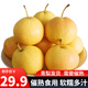 趣覓鮮鞍山南果梨香水梨子禮盒裝正宗東北特產(chǎn)南國梨子紅皮新鮮水果 5斤帶箱黃果24個左右