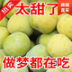 中秋送禮四川脫骨李子新鮮水果大甜青脆半邊茵紅李樹(shù)上熟當季5 3斤 10-20g爆甜爆脆