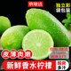 京地達四川香水檸檬 凈重5斤 單果90g+ 新鮮無(wú)籽青檸檬源頭直發(fā)包郵