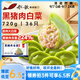 船歌魚(yú)水餃黑豬肉白菜水餃720g/袋36只 健康早餐夜宵 手工速凍餃子 生鮮速食
