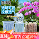 花沃里控根花盆帶托盤(pán) 防爛根透氣蝴蝶蘭花盆栽種菜多肉塑料盆14口徑3個(gè)