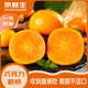 京鮮生 山西巧克力甜脆柿 凈重8斤 單果100g+ 生鮮水果 源頭直發(fā)