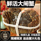 胖東來(lái)同款陽(yáng)澄·湖大閘蟹鮮活公6.5母4.5超大母蟹水產(chǎn)禮盒含繩 現撈現發(fā) 人工篩選 無(wú)黃死蟹都包賠 【爆黃】全母2.5兩 6只
