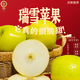 枝遙白水瑞雪蘋(píng)果青蘋(píng)果玫瑰香新國光高品質(zhì)陜西香酥脆甜無(wú)添加帶皮吃 5斤【實(shí)惠推薦】?jì)糁?.5斤 精選小果【65mm-75mm】