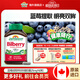健美生（Jamieson）高純度越橘膠囊含藍莓提取物緩解眼疲勞呵護雙眼海外進(jìn)口 【呵護雙眸】高純度越橘25mg60粒/瓶