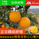正宗江西贛南臍橙20斤信豐臍橙果園現采直發(fā)當季新鮮孕婦水果橙子 果圍70-80mm中果（推薦款）