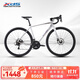 喜德盛公路自行車(chē)RT180鋁合金一體車(chē)把14速變速 碟剎X6鋁合金車(chē)架 幻彩銀/灰（25款） 520mm（建議身高173-183）