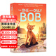 無可比擬的鮑勃 英文原版小說 The One and Only Bob 紐伯瑞金獎作者兒童文學(xué) 進(jìn)口正版書籍 青少年英語課外閱讀章節(jié)橋梁書Ivan