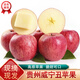 桃西村貴州威寧丑蘋(píng)果 彝族特產(chǎn)高原紅富士時(shí)令冰糖心蘋(píng)果楊華平果水果 9斤 精選中果【單果70-75mm】