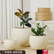 LZJV鎂泥特大號花盆奶油風(fēng)半圓輕奢感花盆大號黑金剛橡皮樹(shù)百合竹家 純米色 32*32*25cm (外徑*高)