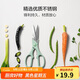 樂(lè )扣樂(lè )扣（LOCK&LOCK）彩色多功能廚房剪刀不銹鋼雞骨頭刮魚(yú)鱗輔食烤肉廚具 薄荷綠