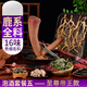 全延泡酒藥材人參鹿茸片鹿鞭鹿筋靈芝天麻泡酒料男士養生酒中藥 【帝王至尊款】16味泡酒料套餐五