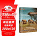 遠行譯叢：走出非洲（奧斯卡獲獎?dòng)捌蹲叱龇侵蕖吩?zhù)，講述魅力無(wú)窮的非洲）（精裝） 人民文學(xué)出版社