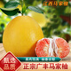 桃西村江西廣豐馬家柚 上饒特產(chǎn)老樹(shù)紅心蜜柚子當季時(shí)令新鮮水果禮盒 1.3-1.5斤 【嘗鮮1枚裝】